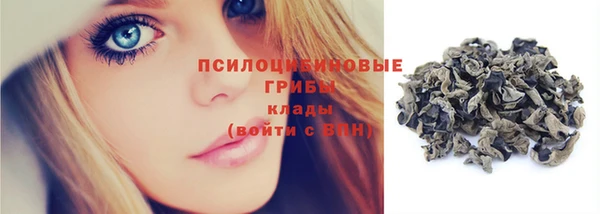 Альфа ПВП Осинники