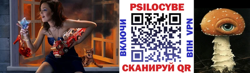 Псилоцибиновые грибы GOLDEN TEACHER  Талица 